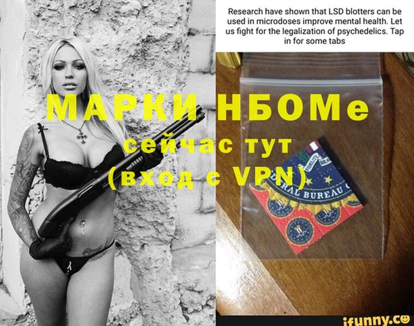 хмурый Алзамай