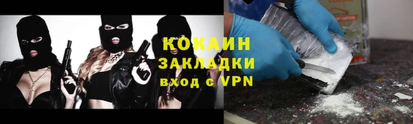 хмурый Алзамай