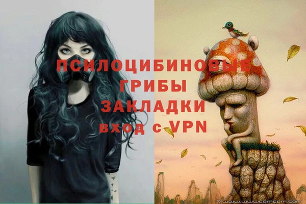 метадон Алексин