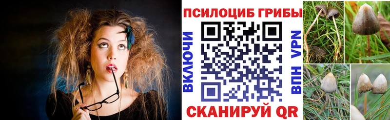 даркнет как зайти  Нижняя Салда  Галлюциногенные грибы ЛСД  наркотики 